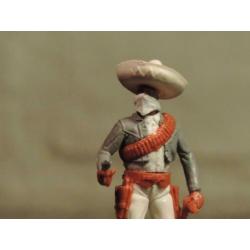 timpo zeldzaam Mexicaan te voet.