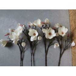 4 decoratie magnolia takken