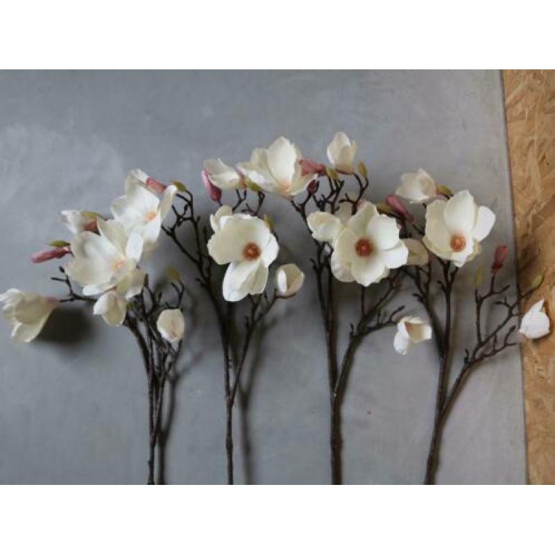 4 decoratie magnolia takken
