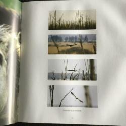Groot boek De nieuwe wildernis, 29x32 cm