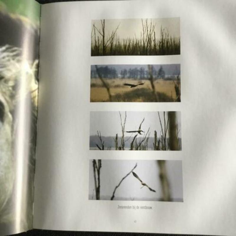 Groot boek De nieuwe wildernis, 29x32 cm