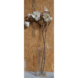 4 decoratie magnolia takken