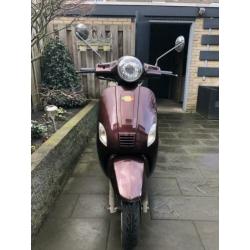Iva lux 50