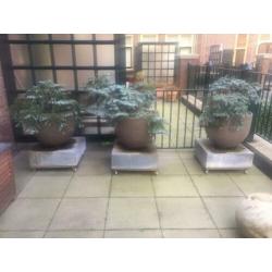 terras potten van Atelier Vierkant