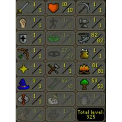 OSRS Accounts Samen voor maar €20,-