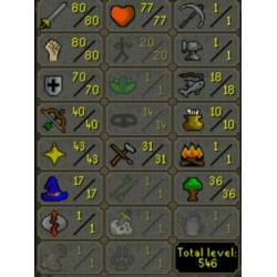 OSRS Accounts Samen voor maar €20,-