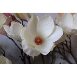 4 decoratie magnolia takken