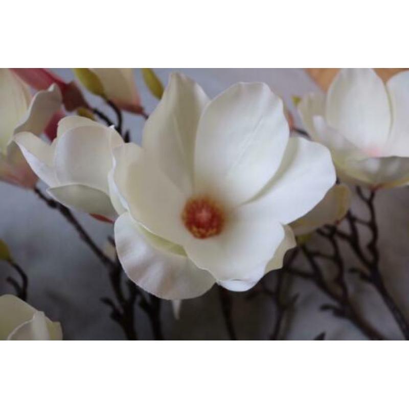 4 decoratie magnolia takken
