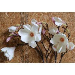 4 decoratie magnolia takken
