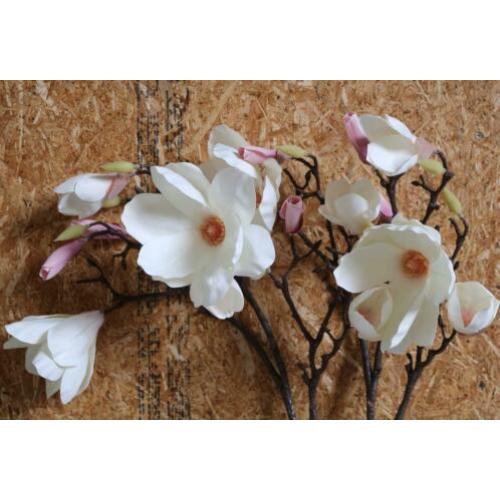 4 decoratie magnolia takken