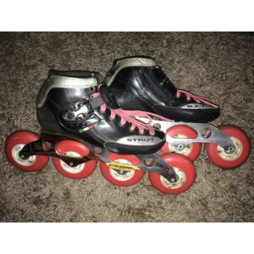 Professionele skeelers STRUT Stouwdam Cado Modus maat 35