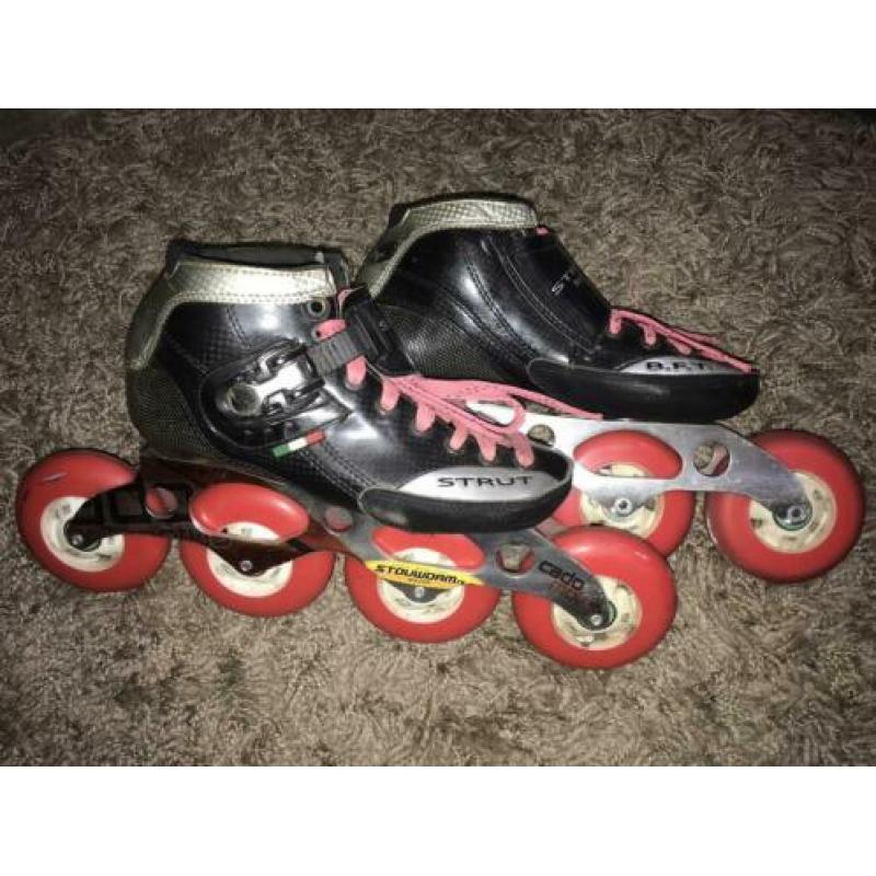 Professionele skeelers STRUT Stouwdam Cado Modus maat 35