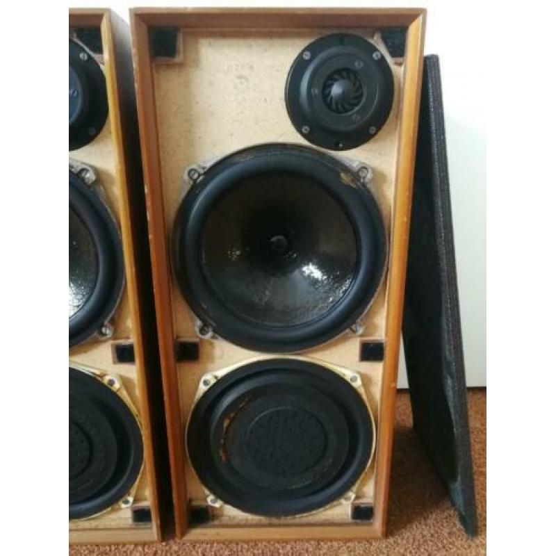 Celestion Ditton 15 luidsprekers