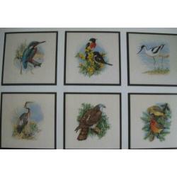 Permin 12 vogel patronenIN KLEUR ,DMC NUM, ZIE FOTO'S
