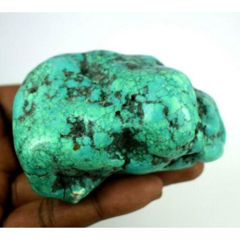 turkoois/turquoise Kingman