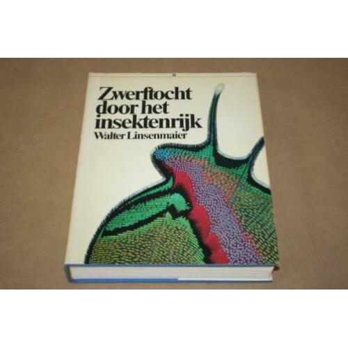 Dikke pil - Zwerftocht door het insektenrijk