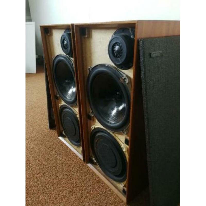 Celestion Ditton 15 luidsprekers