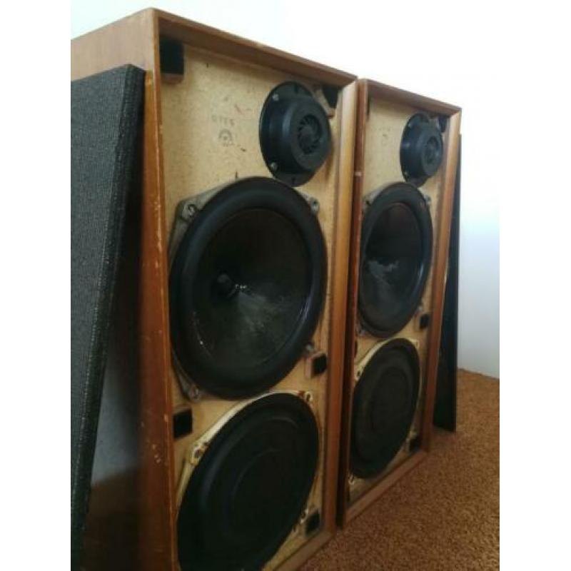 Celestion Ditton 15 luidsprekers