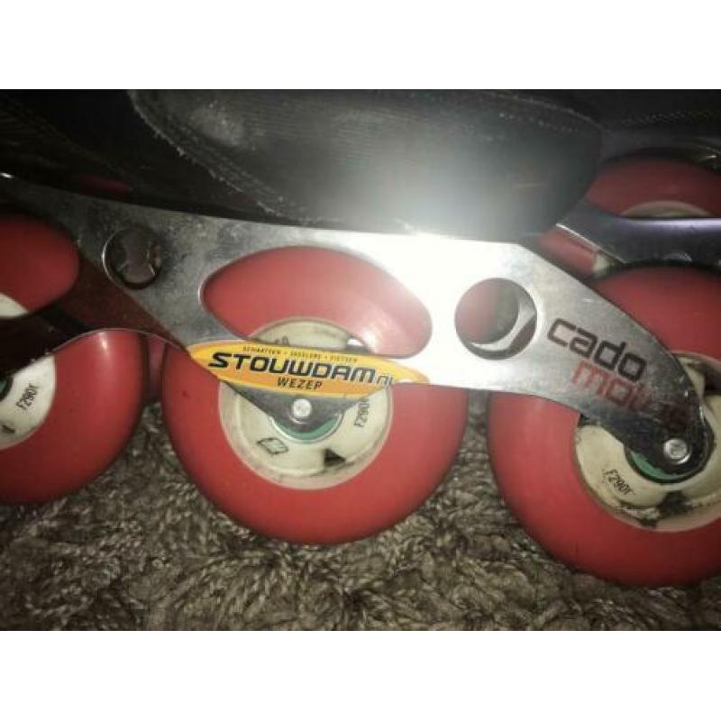 Professionele skeelers STRUT Stouwdam Cado Modus maat 35