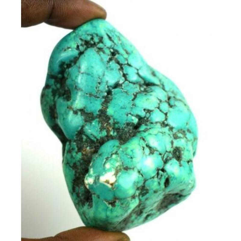 turkoois/turquoise Kingman