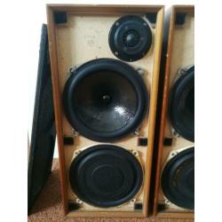 Celestion Ditton 15 luidsprekers
