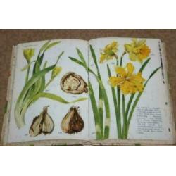 Ziekte en schade in de tuin - Uitg. Moussault !!