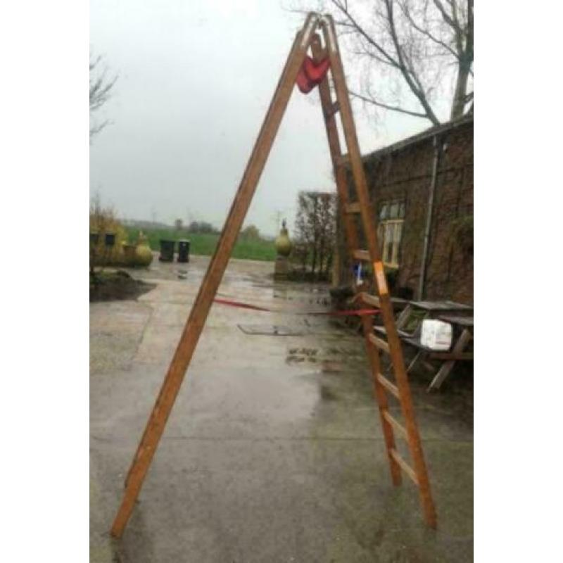 Ladder