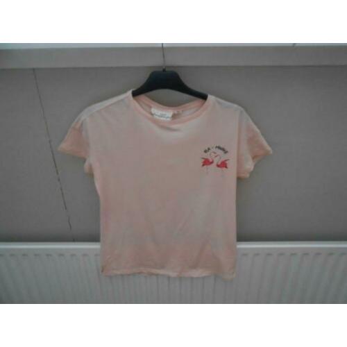 Leuk shirtje maat XS van H&M met flamingo's