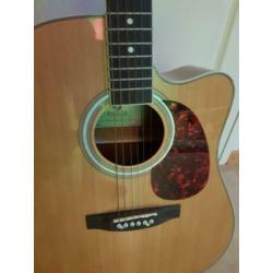 Fazley Gitaar met Capo ZGAN!