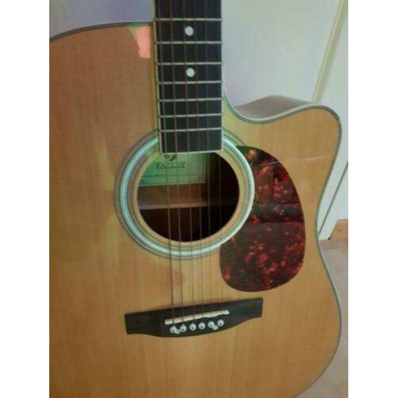 Fazley Gitaar met Capo ZGAN!