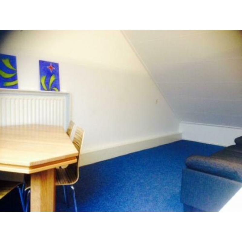 Elst, nette bewoners/sters gezocht voor 3 kamer studio