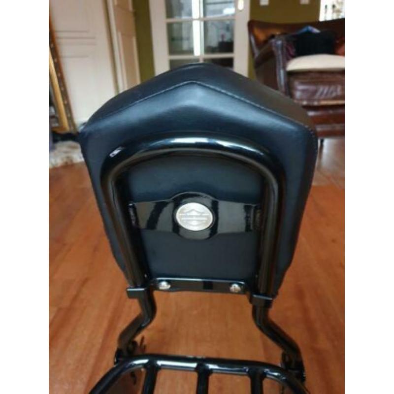 Harley Davidson Sportster sissybar