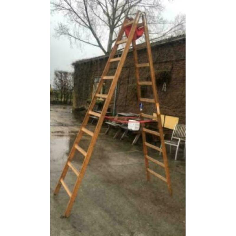 Ladder