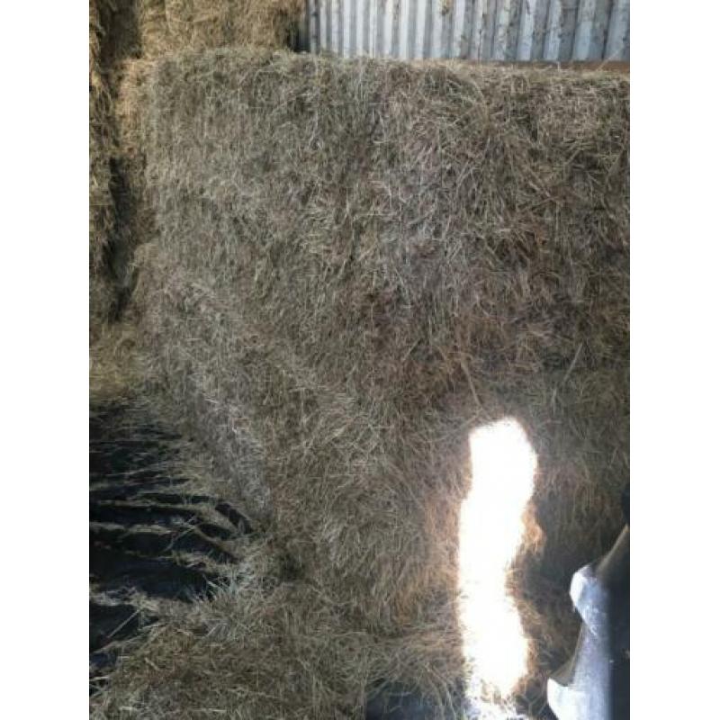 Natuurland hooi van prima kwaliteit voor paarden, rundvee