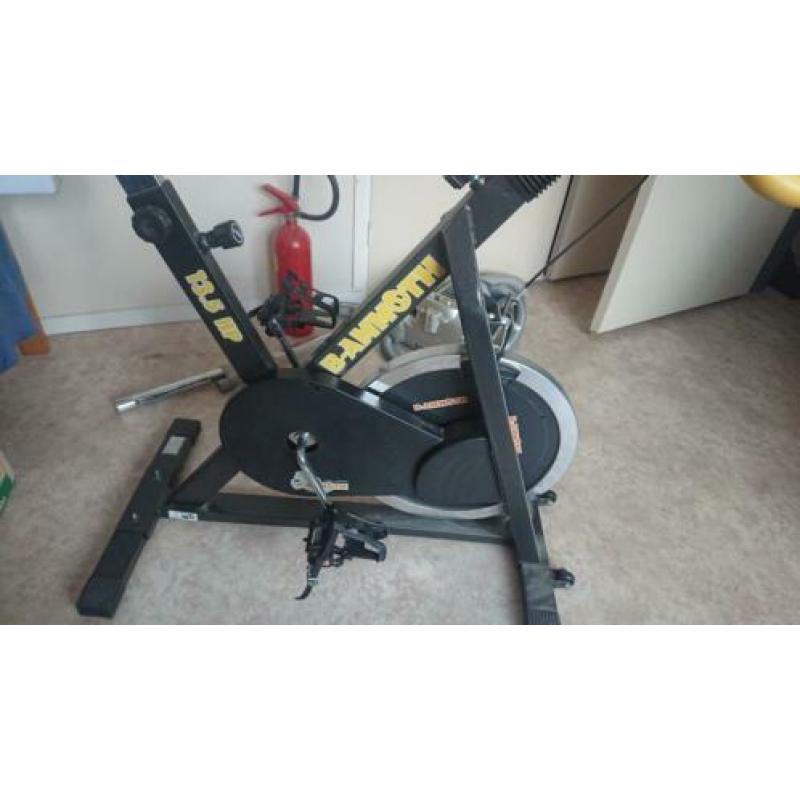 Spinner te koop