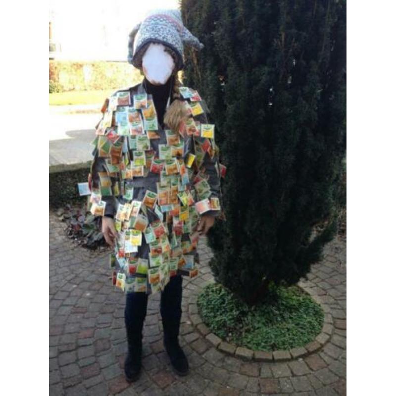 Carnavals pakken thee muts