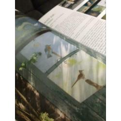 Prachtig Boer Kip schilder beeldend Kunstenaar nieuw boek