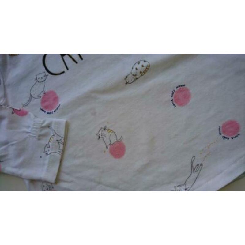 Grappig, wit shirt met poesjes, Zara, maat 74 (68)