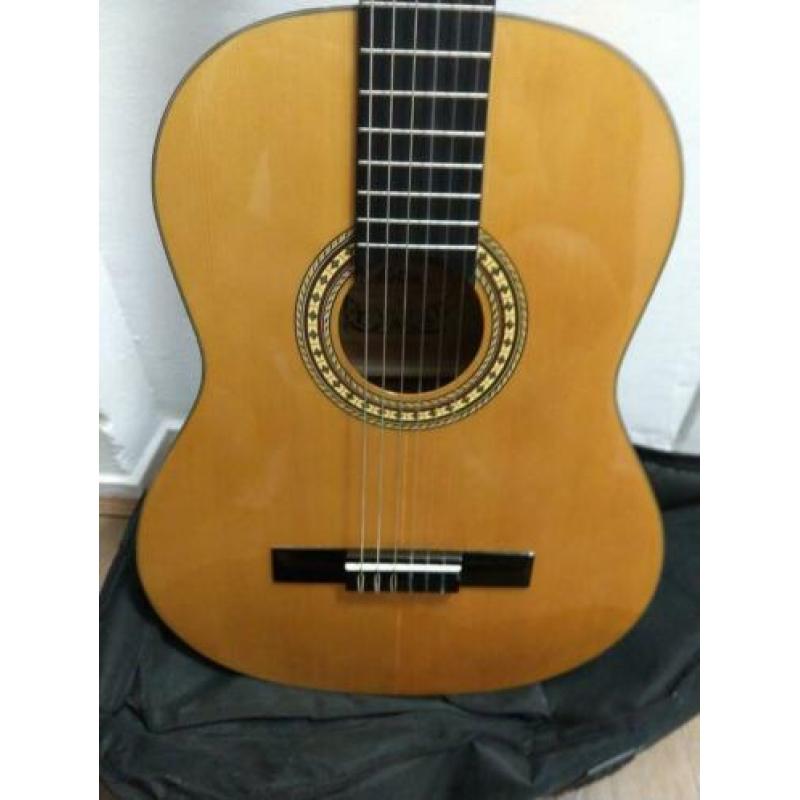 Motion TC901 akoestische gitaar