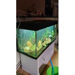 Juwel aquarium