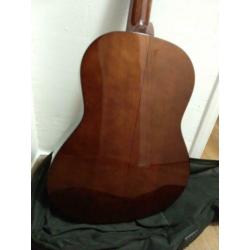 Motion TC901 akoestische gitaar
