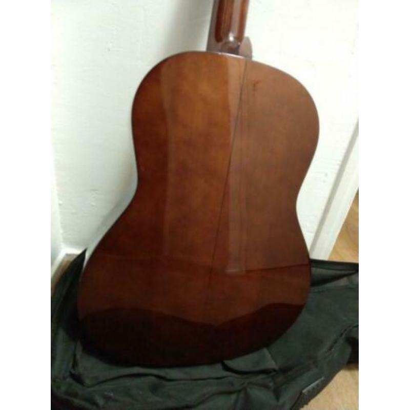 Motion TC901 akoestische gitaar
