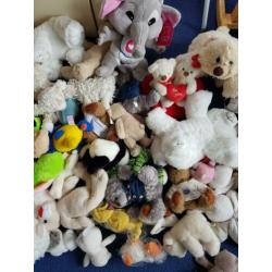 Te koop! Vuilniszak vol met knuffels waarvan veel nieuwe.