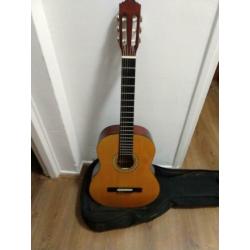 Motion TC901 akoestische gitaar