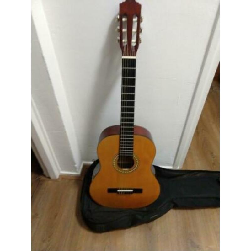 Motion TC901 akoestische gitaar