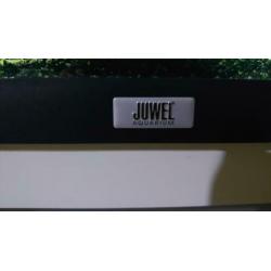 Juwel aquarium
