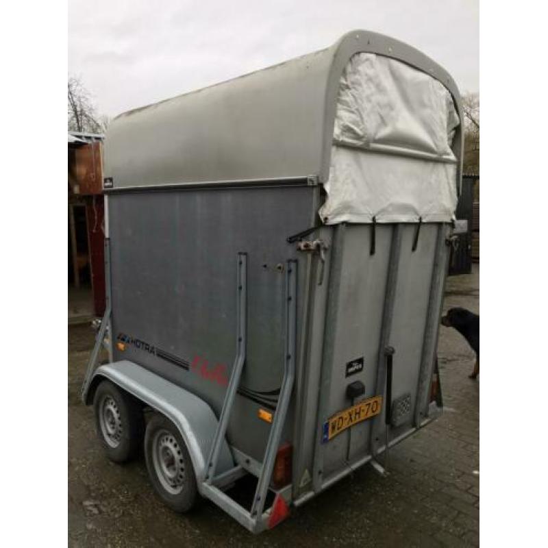 Hotra otello 1,5 paard paardentrailer bj 2002