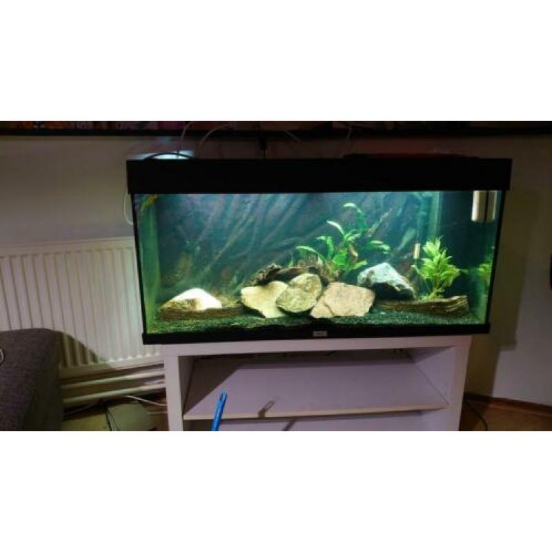 Juwel aquarium