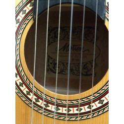 Motion TC901 akoestische gitaar