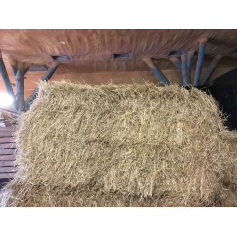 Biologisch kruiden hooi grote balen te koop